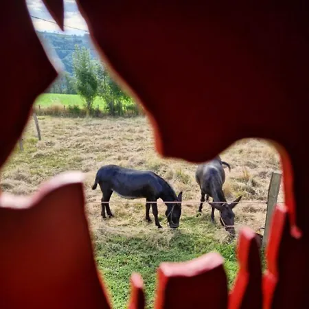 Roulotte Le Gite-anes Кемпинг Jou-sous-Monjou