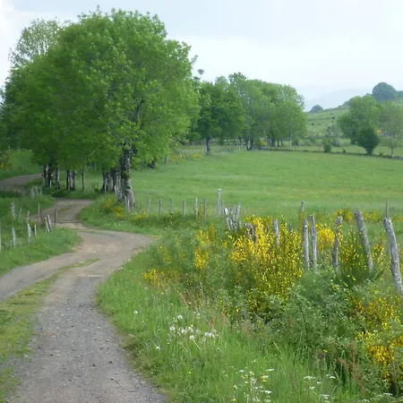 Roulotte Le Gite-anes Jou-sous-Monjou
