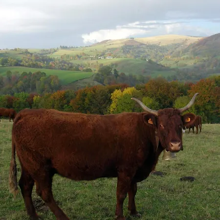 Кемпинг Roulotte Le Gite-anes *