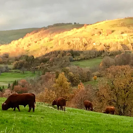 Roulotte Le Gite-anes Кемпинг