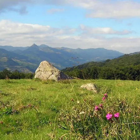 Roulotte Le Gite-anes Кемпинг Jou-sous-Monjou