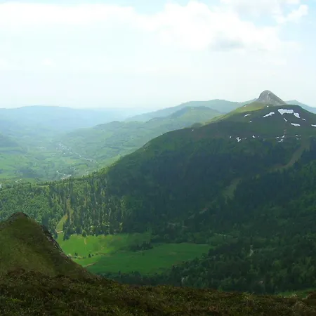 Roulotte Le Gite-anes Jou-sous-Monjou