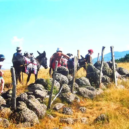 Roulotte Le Gite-anes Кемпинг Jou-sous-Monjou