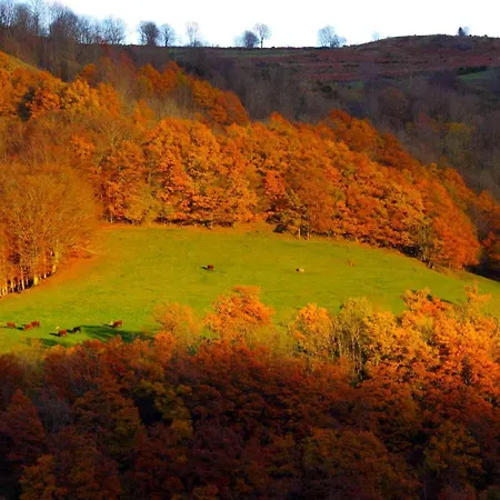 Roulotte Le Gite-anes * Jou-sous-Monjou