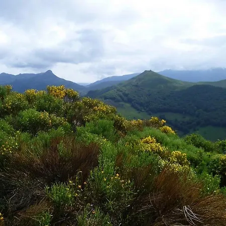 Roulotte Le Gite-anes *