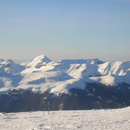 Roulotte Le Gite-anes Jou-sous-Monjou