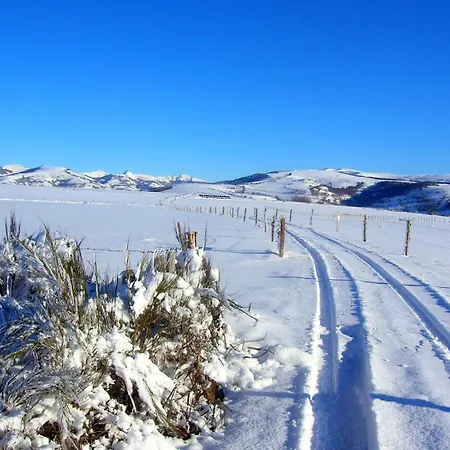 Roulotte Le Gite-anes Кемпинг *