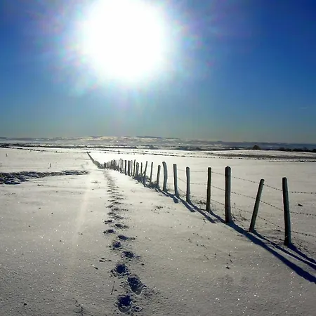 Roulotte Le Gite-anes Кемпинг *
