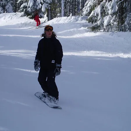 Кемпинг Roulotte Le Gite-anes Jou-sous-Monjou