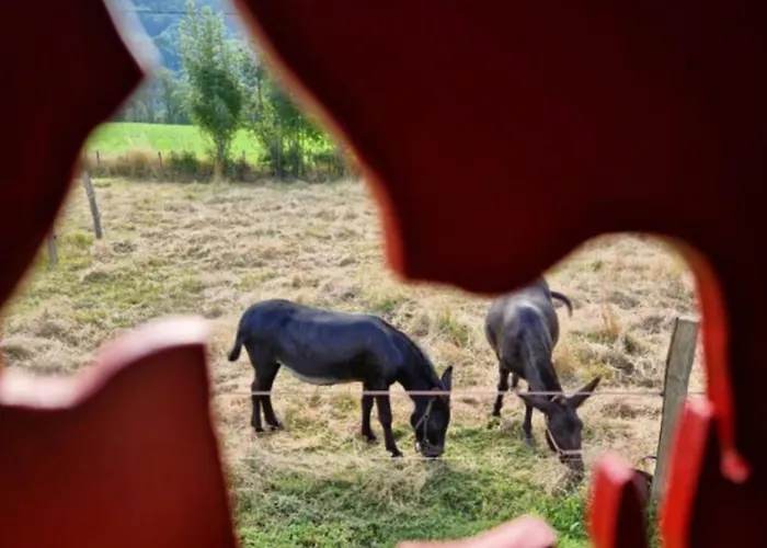 Roulotte Le Gite-anes Campingplatz Jou-sous-Monjou