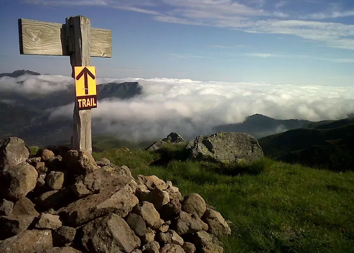 Roulotte Le Gite-anes Jou-sous-Monjou