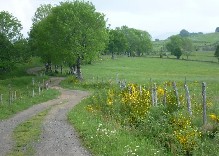 Roulotte Le Gite-anes Jou-sous-Monjou