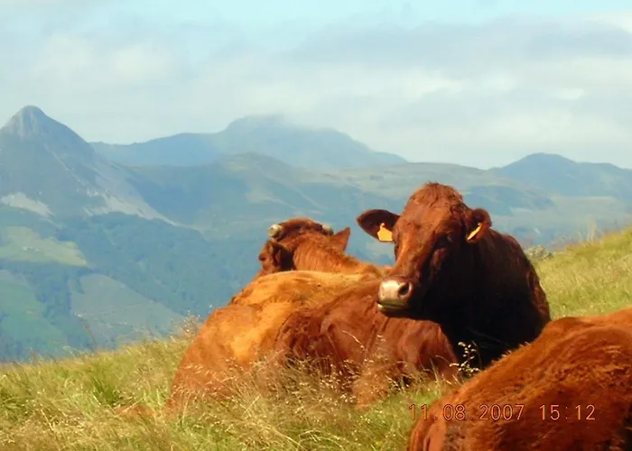 Roulotte Le Gite-anes Campingplatz Jou-sous-Monjou