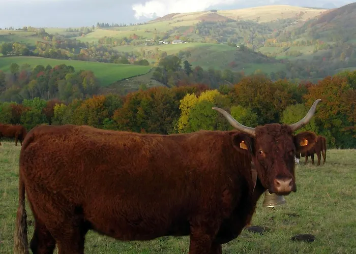 Campingplatz Roulotte Le Gite-anes *