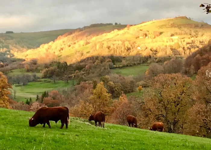 Roulotte Le Gite-anes Campingplatz