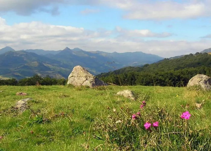 Roulotte Le Gite-anes Campingplatz Jou-sous-Monjou