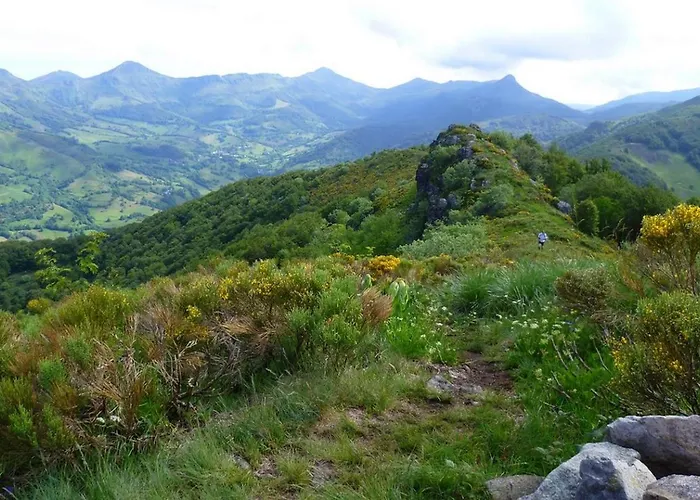 Roulotte Le Gite-anes