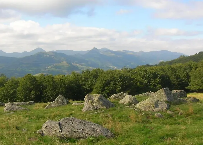 Roulotte Le Gite-anes *