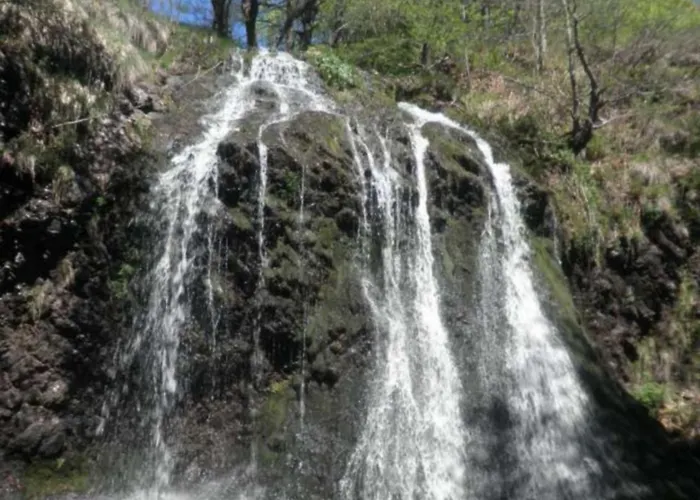Campingplatz Roulotte Le Gite-anes Jou-sous-Monjou
