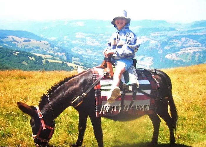 Roulotte Le Gite-anes Campingplatz *