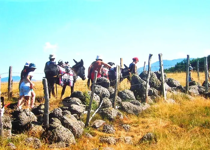 Roulotte Le Gite-anes Campingplatz Jou-sous-Monjou