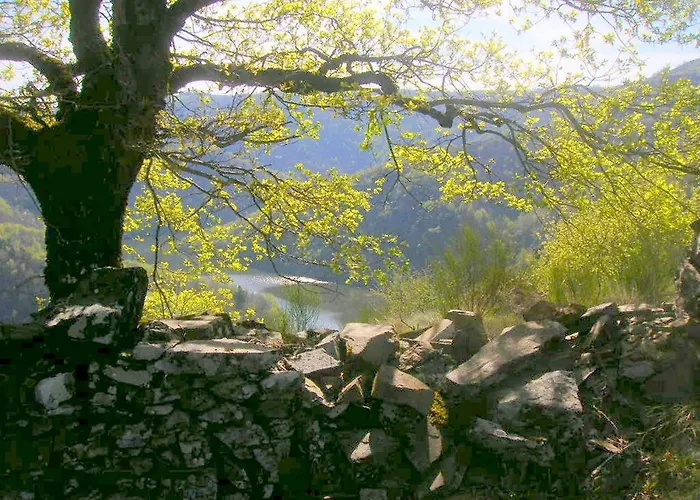 Roulotte Le Gite-anes * Jou-sous-Monjou