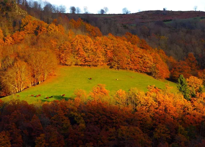 Roulotte Le Gite-anes * Jou-sous-Monjou
