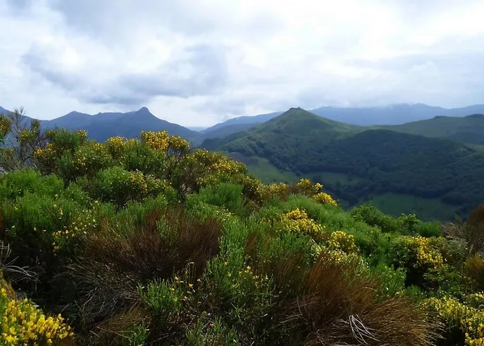 Roulotte Le Gite-anes *