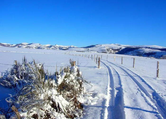 Roulotte Le Gite-anes Campingplatz *