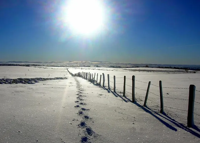 Roulotte Le Gite-anes Campingplatz *