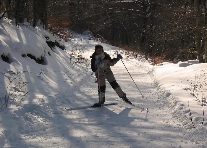 Roulotte Le Gite-anes Campingplatz Jou-sous-Monjou