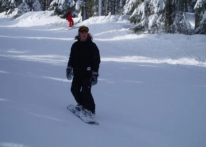 Campingplatz Roulotte Le Gite-anes Jou-sous-Monjou